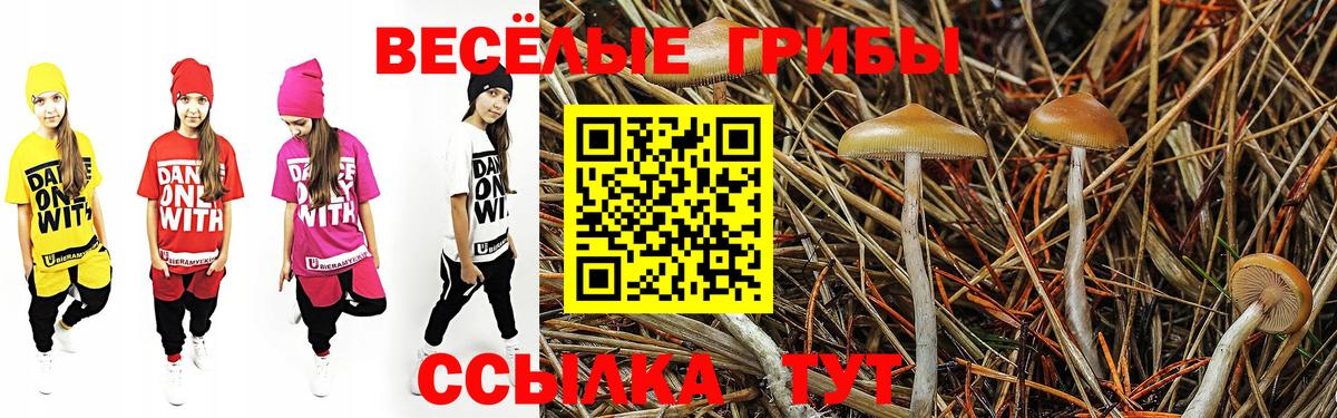 Северск  Галлюциногенные грибы Psilocybe  Вход с VPN 