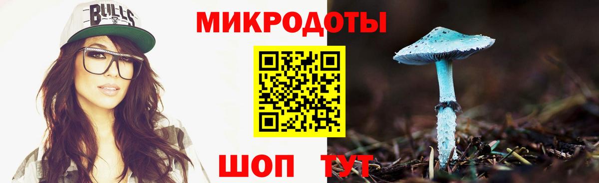 Псилоцибиновые грибы Psilocybine cubensis Северск